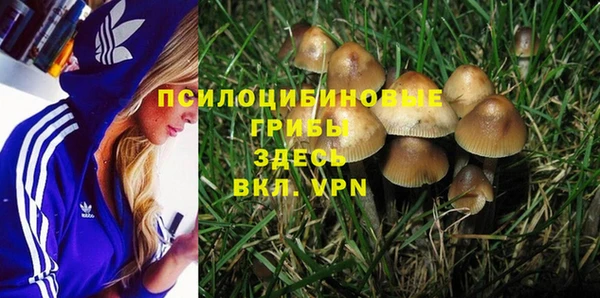 гидропоника Богородск