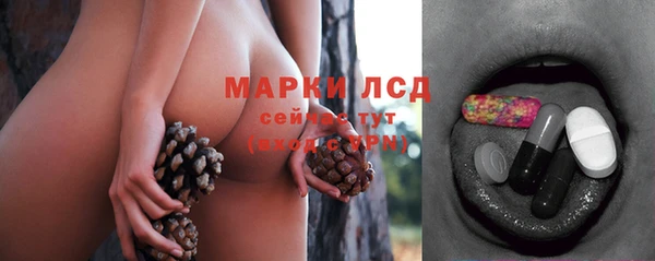 гидропоника Богородск