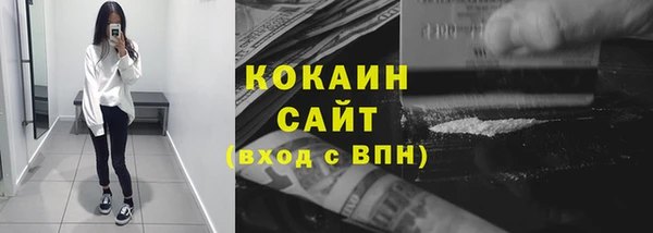 сатива Богданович