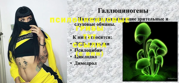 гидропоника Богородск