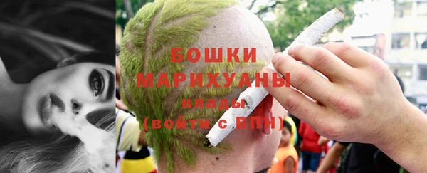 дживик Белокуриха