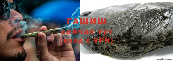 дживик Белокуриха