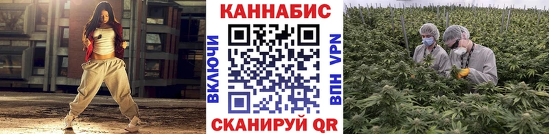 Бошки марихуана THC 21%  Дагестанские Огни 